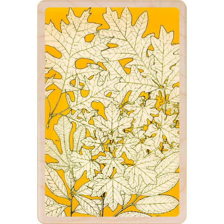 THE WOODEN POSTCARD COMPANY – wholesale Postcard – Leaves from Nature - Eco-friendly cards & magnets