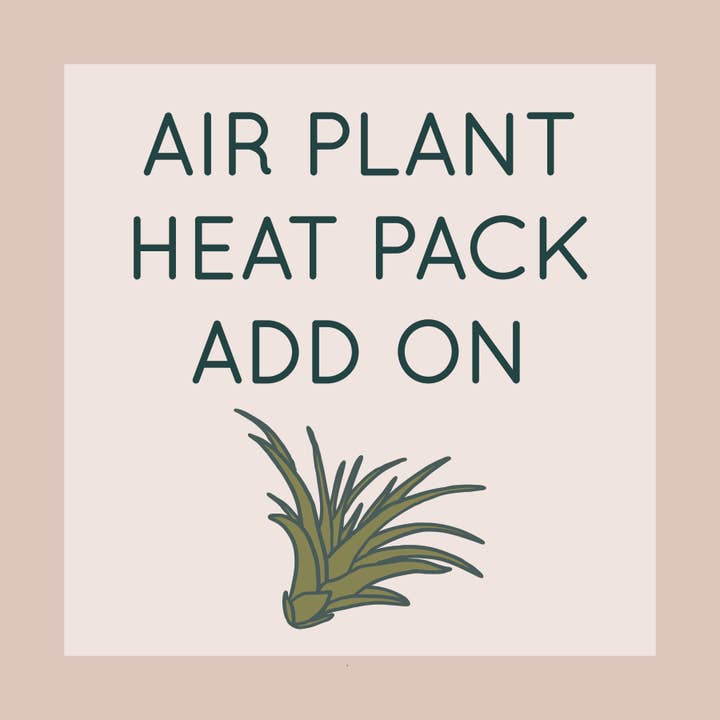 Air Plant Heat Pack Add On for wholesale by Savvie Studio