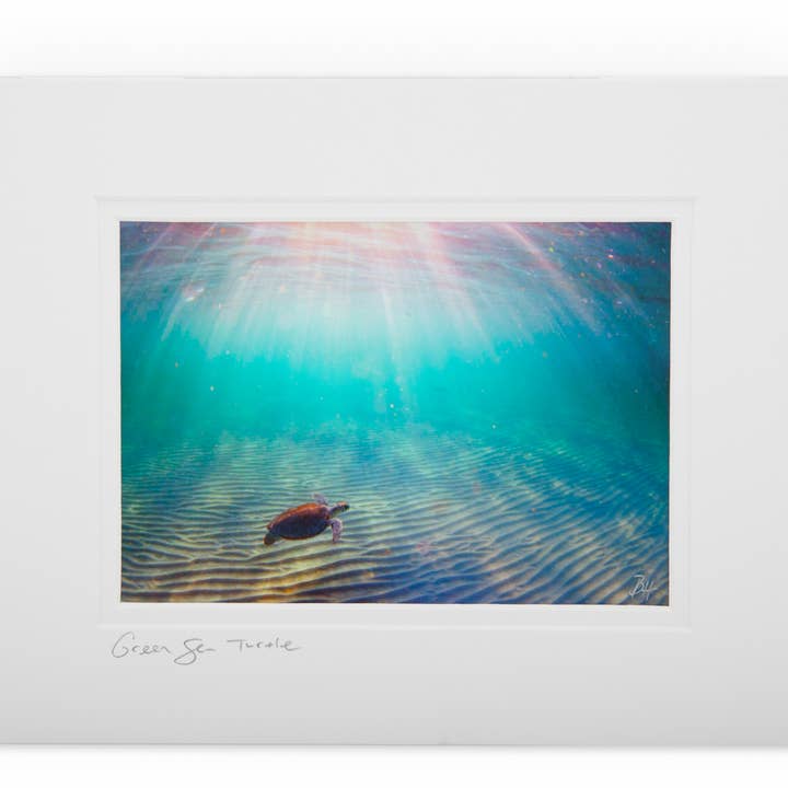 Tortue de mer verte 7Q7A0420 pour la vente par Ben Hicks Fine Art