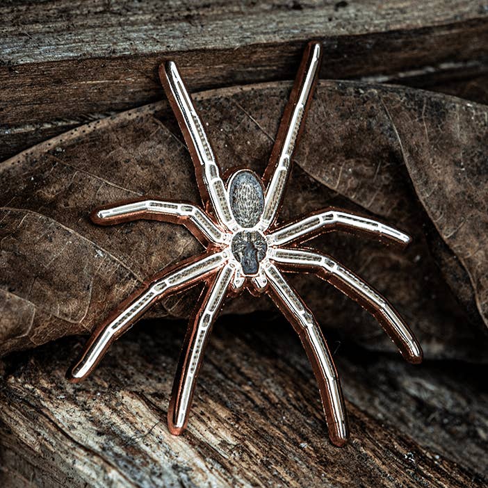 Ăpingle ĂmaillĂ©e AraignĂ©e Recluse Brune Femelle pour la vente par The Roving House