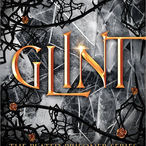 Sourcebooks - Wholesale Book - Adult - Glint