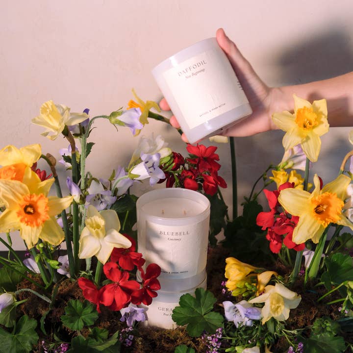 Beige Daffodil | 400gm Candle | Daffodil & Peach Nectar for wholesale on Faire