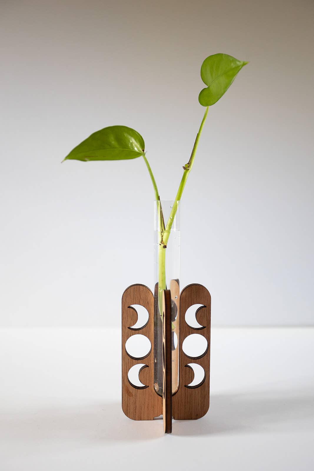 PlantsNsht – Vaso de plantas por atacado – Estação de Propagação de Mesa Fases da Lua7