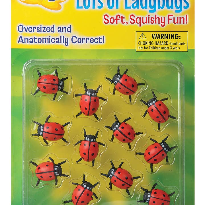 INSECT LORE - Wholesale Toy Set - Kids - Lots of Ladybugs
