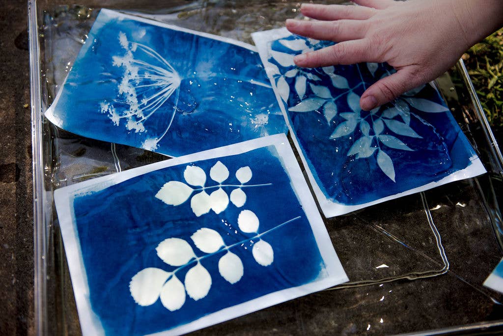 My Little Print Studio – wholesale DIY craft kit – Cyanotype Printing Kit6