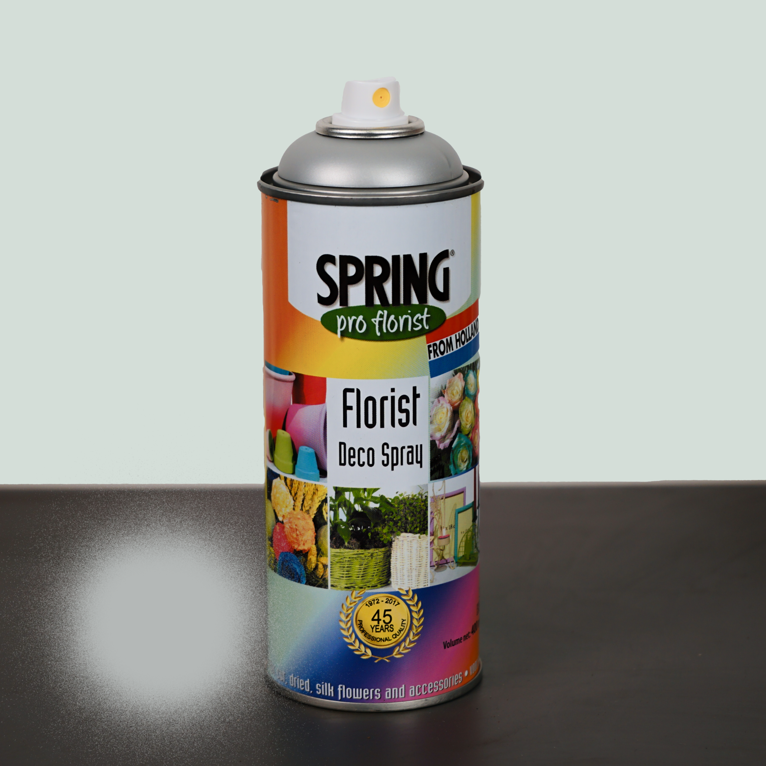All Occasions Wholesale – wholesale Fresh cut flowers – Floral Spray Paint14