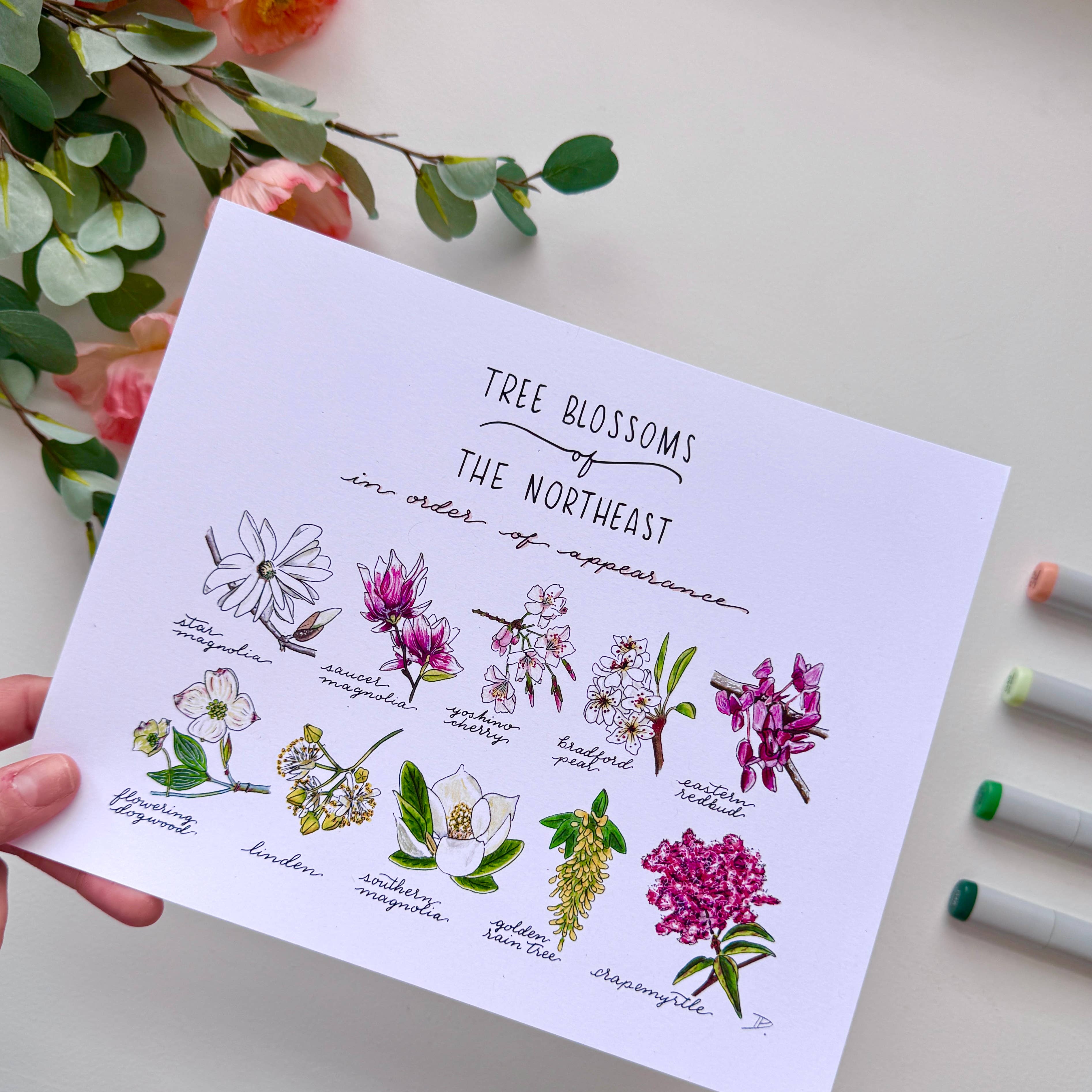 D. Prince Designs - Wholesale Art Print - Tree Blossoms of the Northeast | Recycled Cardstock Print1