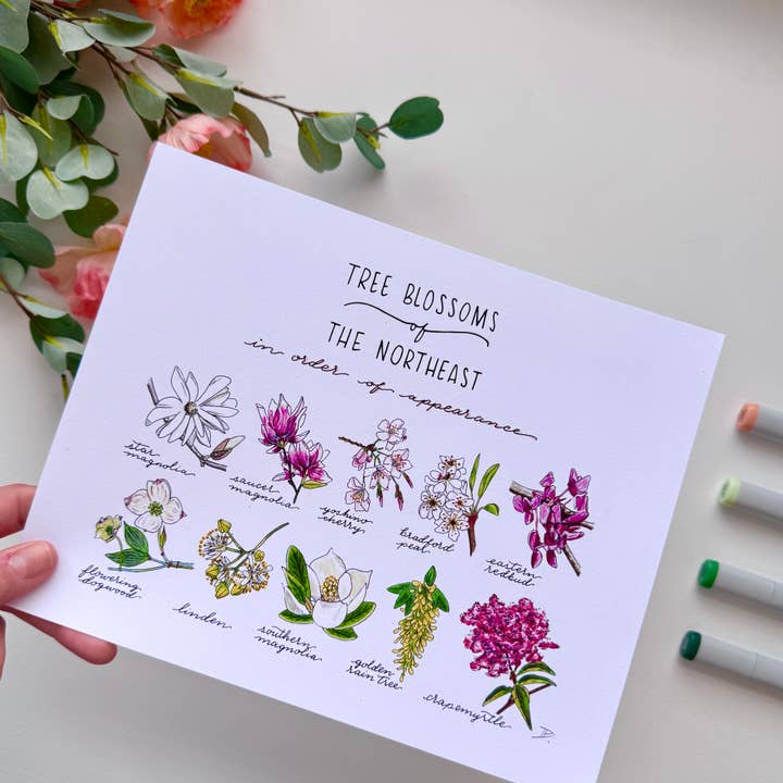 D. Prince Designs - Wholesale Art Print - Tree Blossoms of the Northeast | Recycled Cardstock Print1