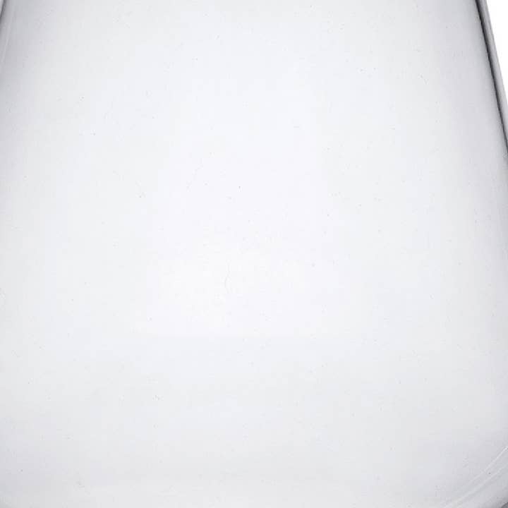 HomeRoots - Wholesale Wine glass - Set of Four Clear Tritan Plastic Stemmed Wine Glasses3