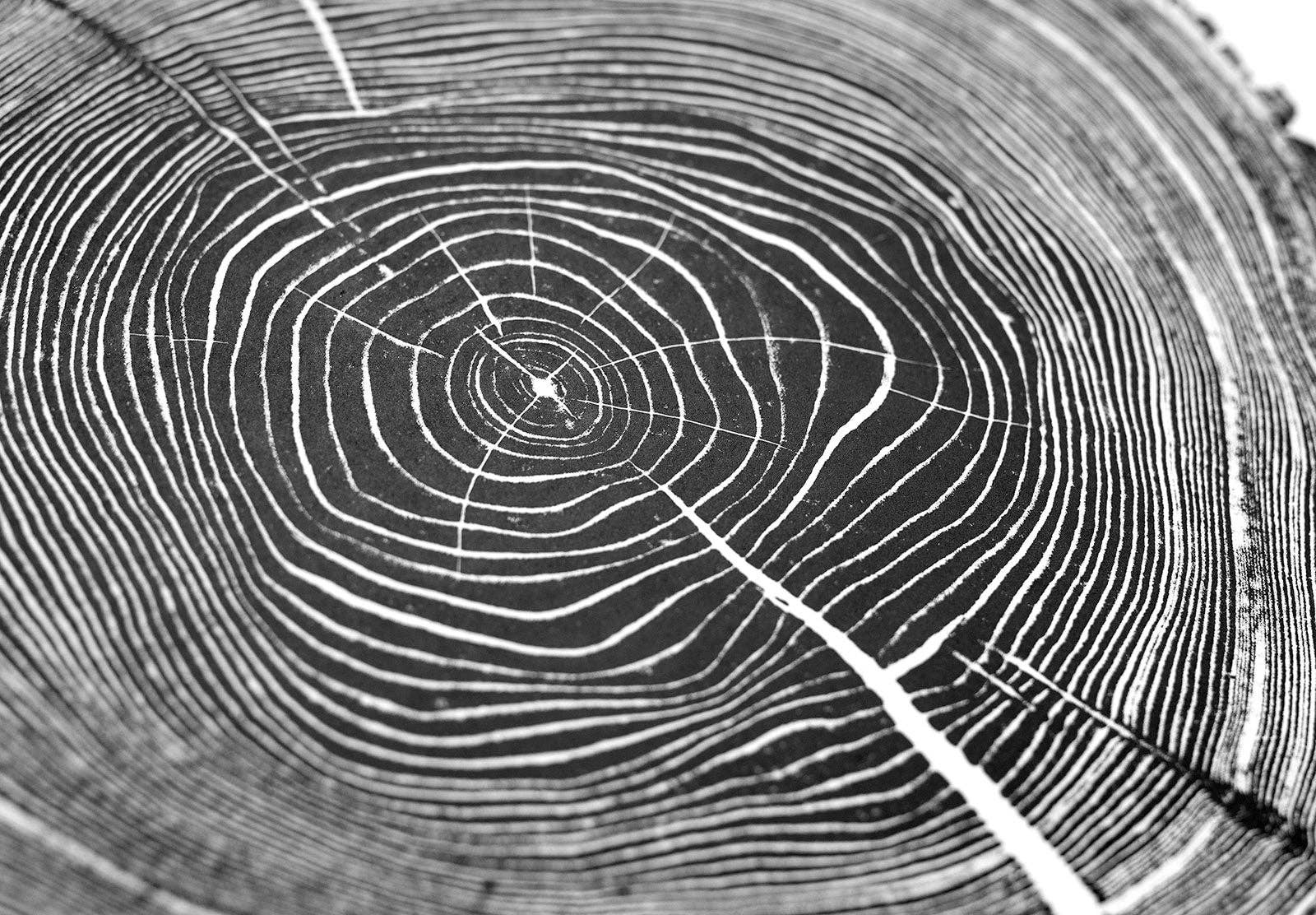 HVRNT Studio - Venta al por mayor Ilustración - Impresión de Árbol "Ash 81" - Papel Blanco4