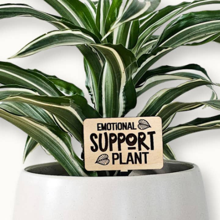 Leaf & Node - Wholesale Plant Pot - Funny Plant Sayings, Indoor Plant Accessories - Plant Stakes