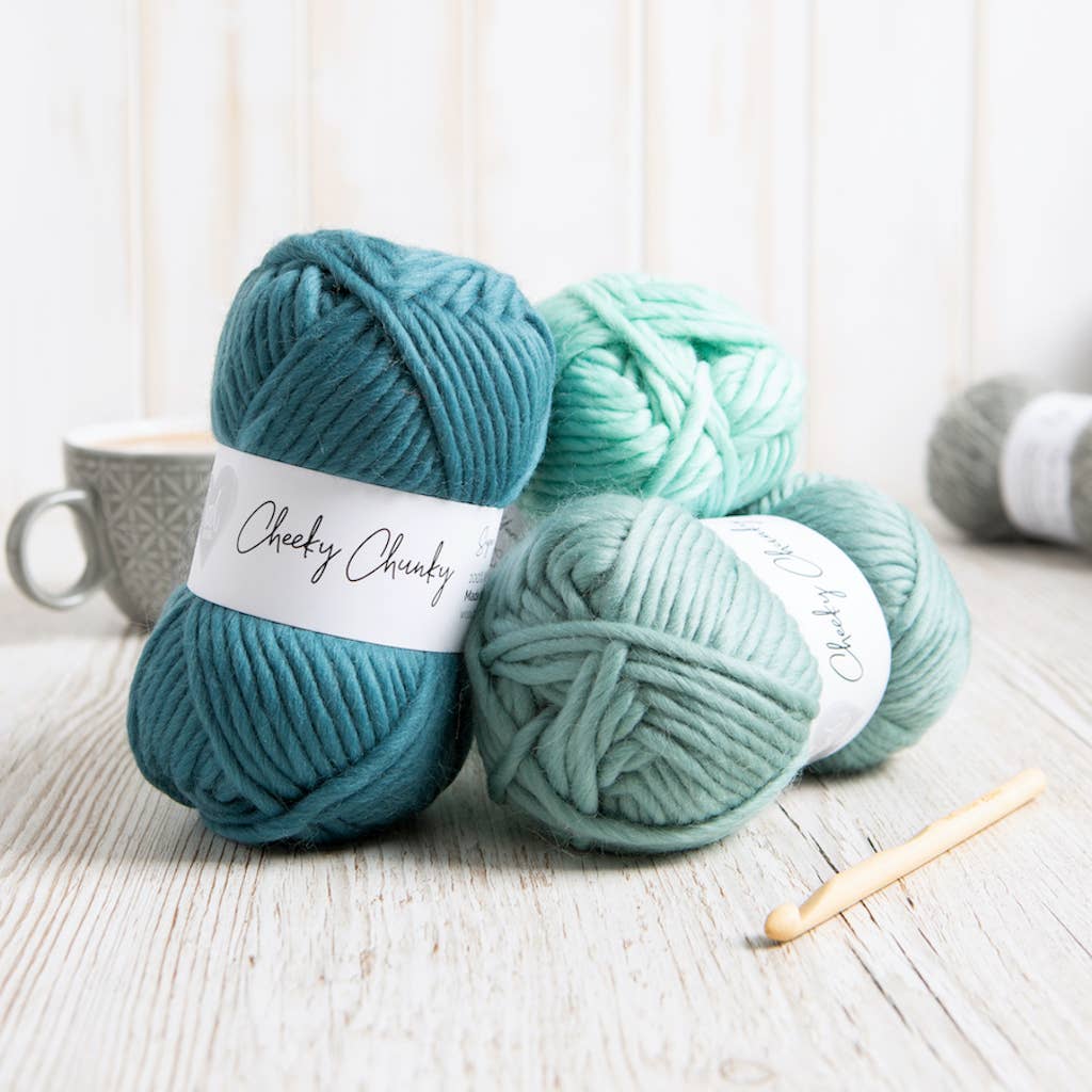 Wool Couture Company - Wholesale Yarn - Cheeky Chunky Yarn 100g Ball19