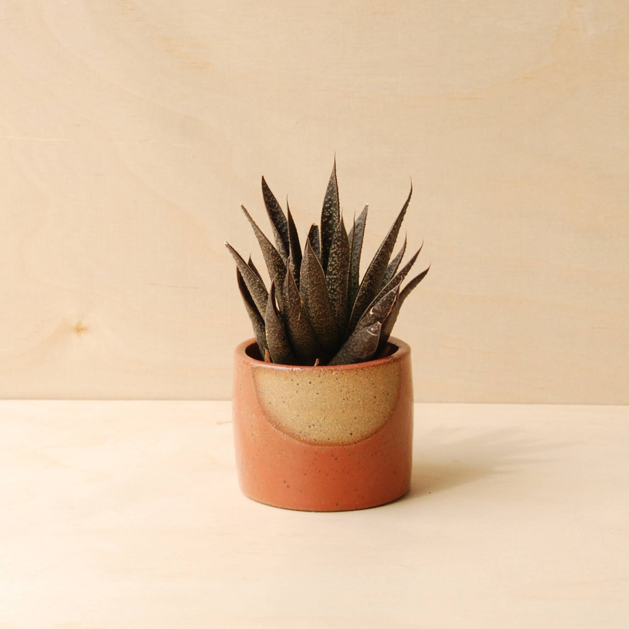 Nightshift Ceramics - Wholesale Plant Pot - Small Ceramic Planter - Glow