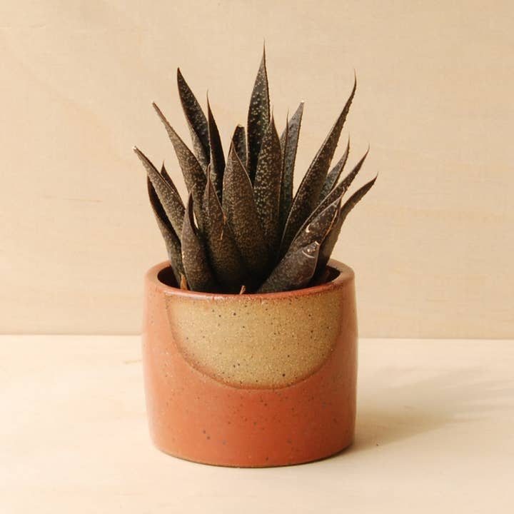 Nightshift Ceramics - Wholesale Plant Pot - Small Ceramic Planter - Glow0