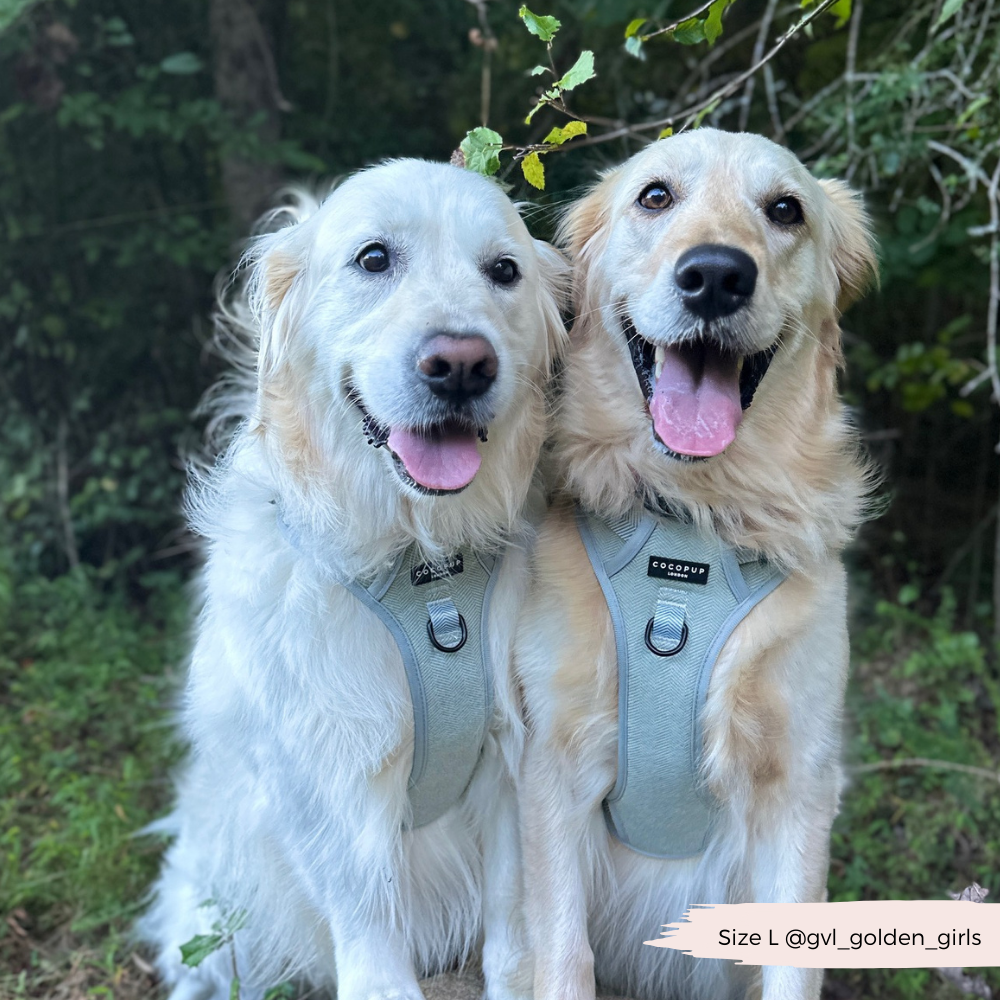 Cocopup London - Wholesale Tuig voor huisdieren - Hond - Verken Harness - Salie Tweed35