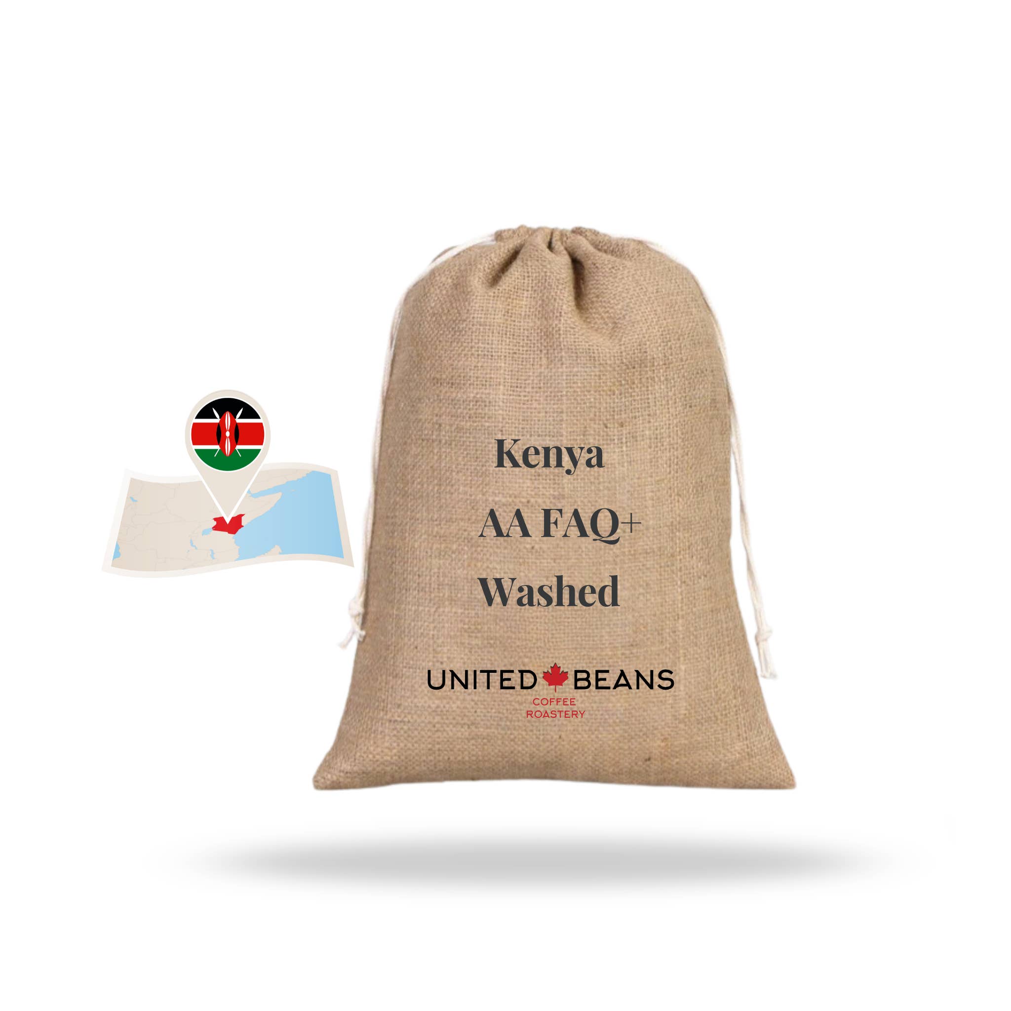 United Beans Coffee Roastery - Wholesale Coffee Beans - Specialty Green Coffee Beans | Kenya AA