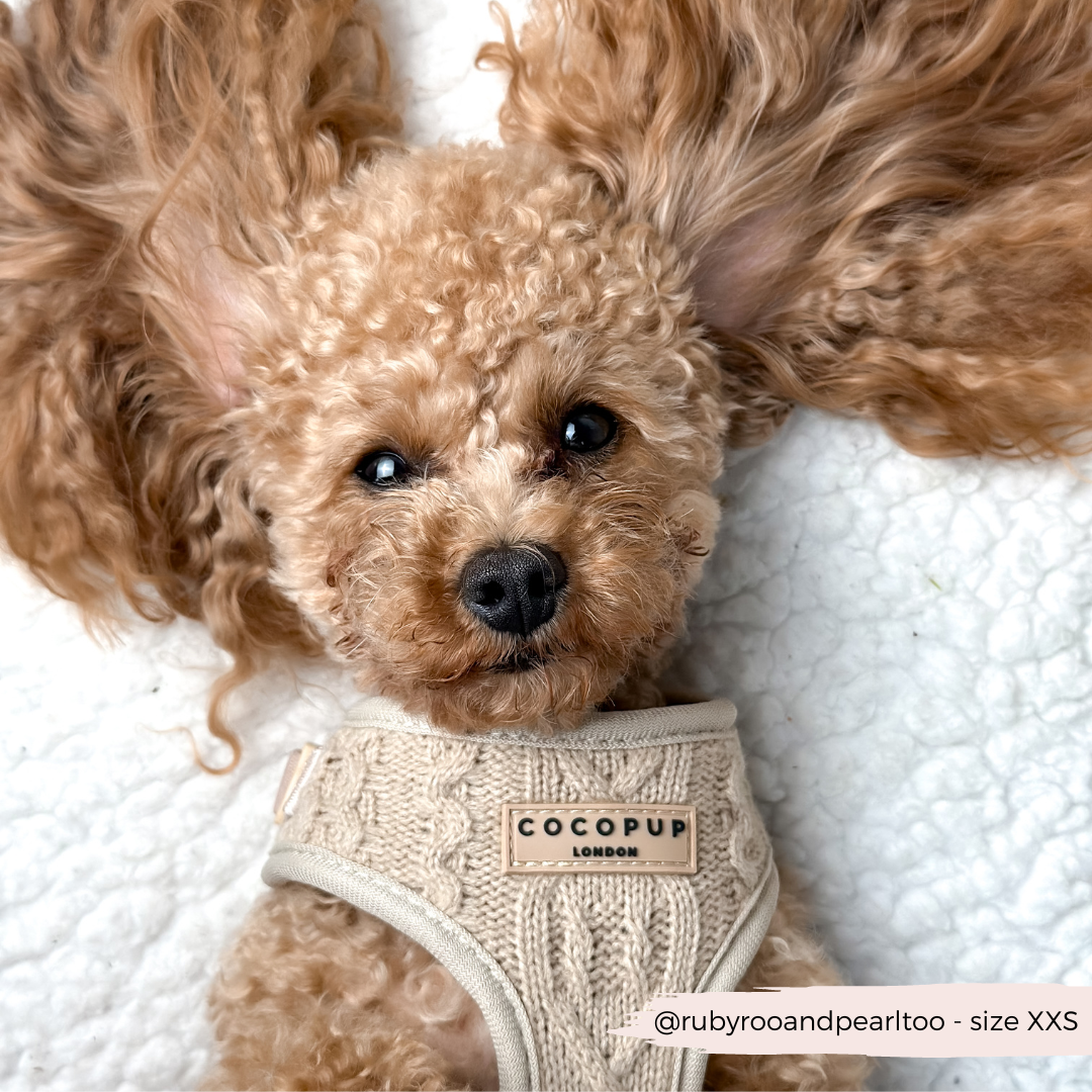 Cocopup London – wholesale Sele - Hund – Kabelstickad tröja Justerbar nacksele - Toffee Pup Latte7