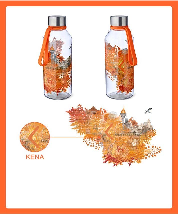 Carl Oscar - Vente Bouteilles d'eau - Bouteille d'eau WisdomFlask 0,65 L - Fire1