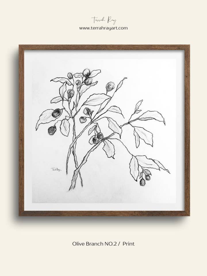 Olivenzweig Nr. 2 - Bleistiftskizze Quadrat Kunstdruck für den Großhandel von Terrah Ray Fine Art Studio