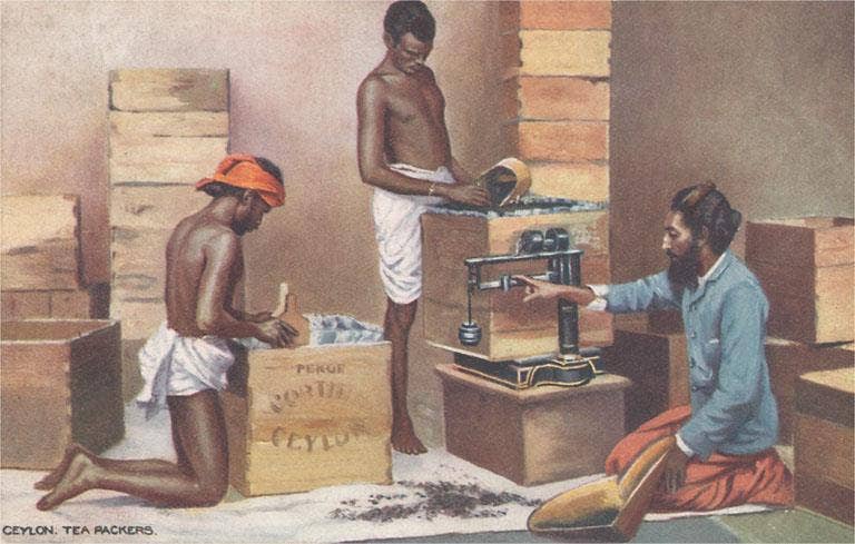 Found Image Press - Wholesale Postcard - Postcard CF-139 Tea Packers, Sri Lanka0