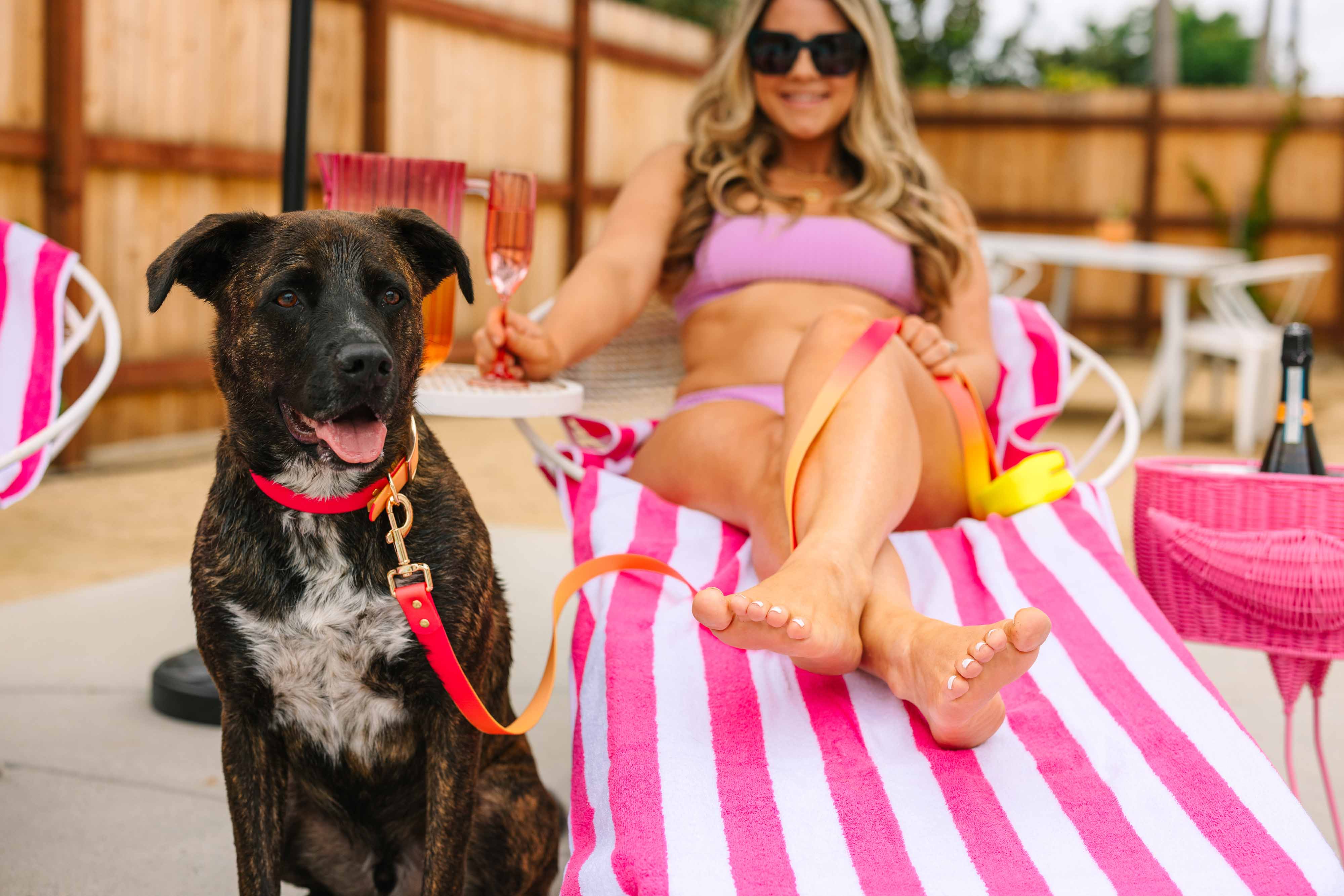 Pink Papyrus | Premium, Durable, & Stylish Dog Products – coleira - Cão por atacado – Coleira para Cão à Prova de Água e Fácil de Limpar Katelin All Weather5