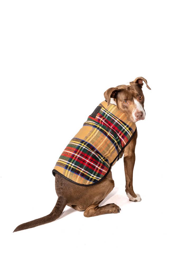 CHILLY DOG LLC - Wholesale Pet Coat - Dog - Tan Tartan Dog Blanket Coat6