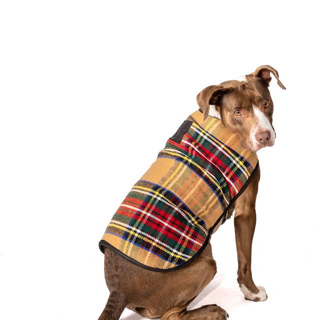 CHILLY DOG LLC - Wholesale Pet Coat - Dog - Tan Tartan Dog Blanket Coat6