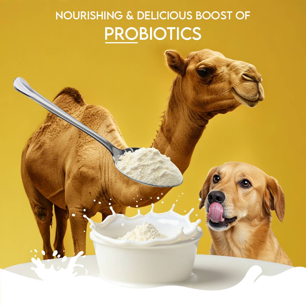 Pawfect Foods – wholesale Pet supplement – Dog – Pawfect Nature's Sip 100% Natural Camel Milk Powder for Dogs & Puppies| Easily Digestible| Source of Vitamins, Minerals, Probiotics| Healthy Topper| Hydration Support3