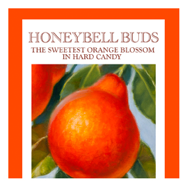 Butterfields Candy - Wholesale Hard Candy - Honeybell Orange Buds 7 oz Heritage Collection3