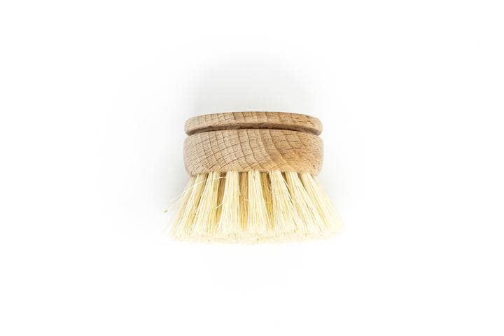 The Waste Less Shop - Wholesale Cleaning Brush - Beechwood Dish Brush Replacement Head – Soft Agave2