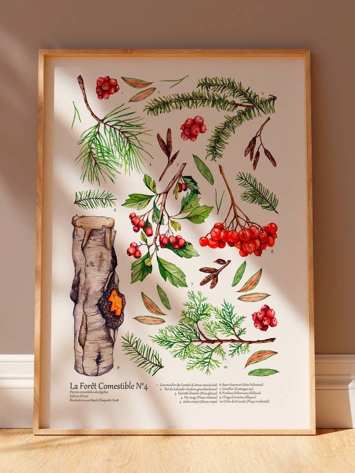 The Edible Forest | Winter Edition for wholesale by Sarah Choquette Scott Artiste
