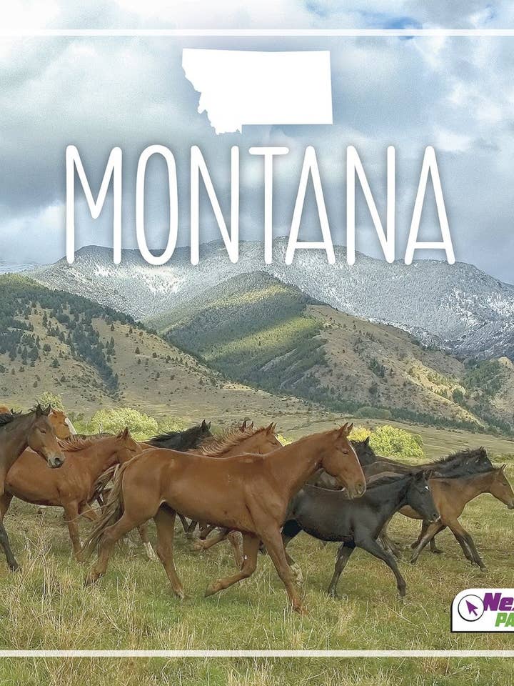 Montana for wholesale by Capstone