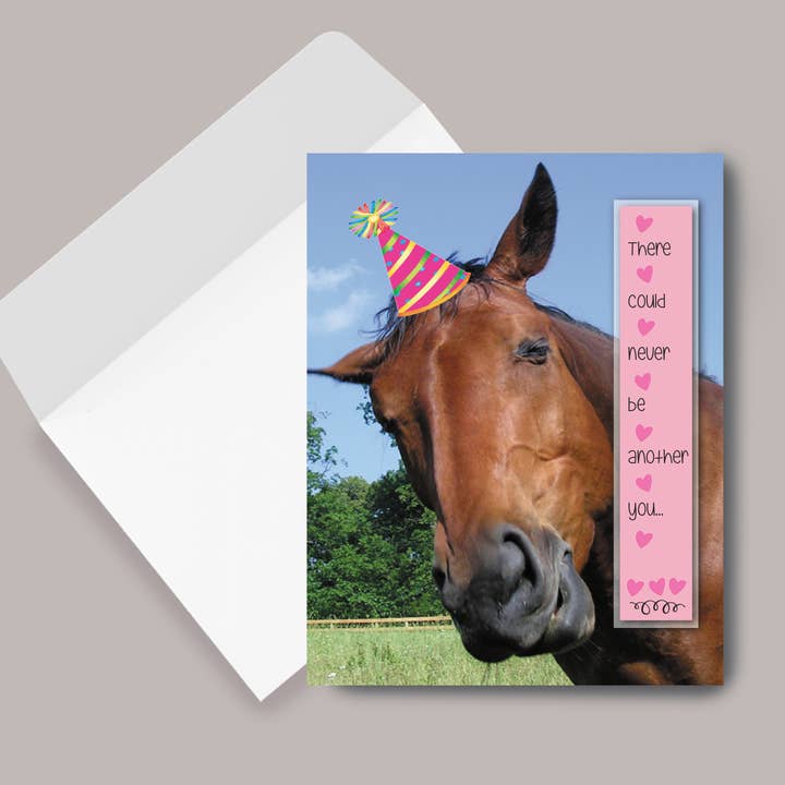 Horse Greeting Birthday Card / Never Be Another You for wholesale by Horse Hollow Press