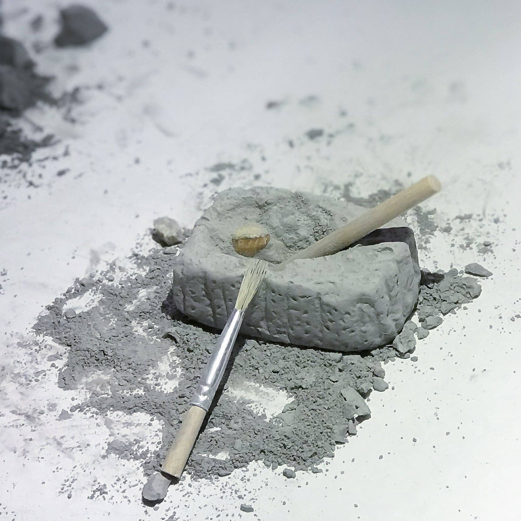 Heebie Jeebies USA - Vente Lot de jouets – enfant - Kit Fossil Dig Paleo dans un bécher scientifique7