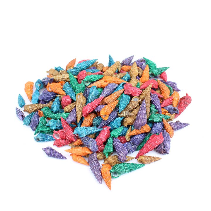 Dyed Cerithium Atratum Bulk Craft Shells - 1 LB for wholesale by California Seashell Company