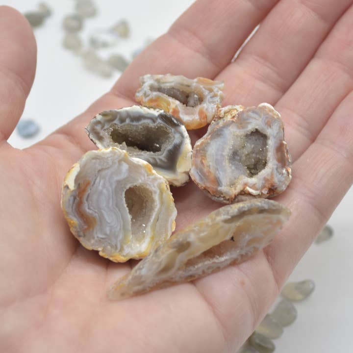 Calder Crystals - Wholesale Spiritual Stone/Crystal - Mini Druzy Agate Geode Crystal Geodes - 5 Count7