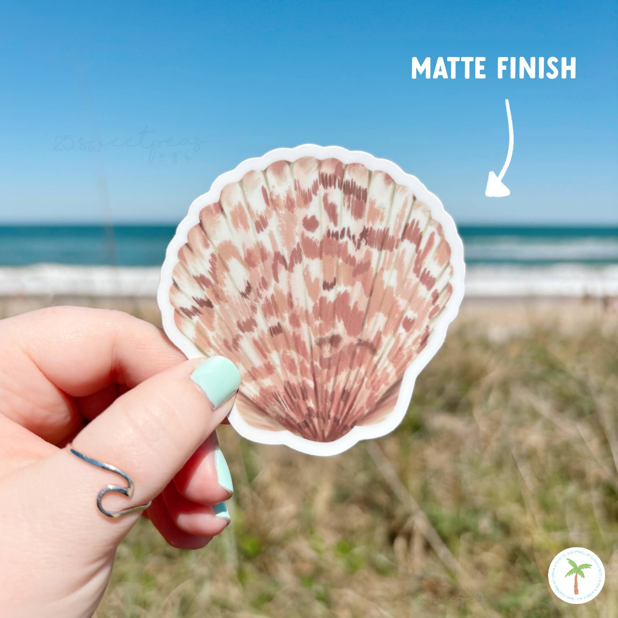 25 Sweetpeas - Wholesale Sticker - Calico Shell Sticker, Beach Sticker, Calico Scallop2