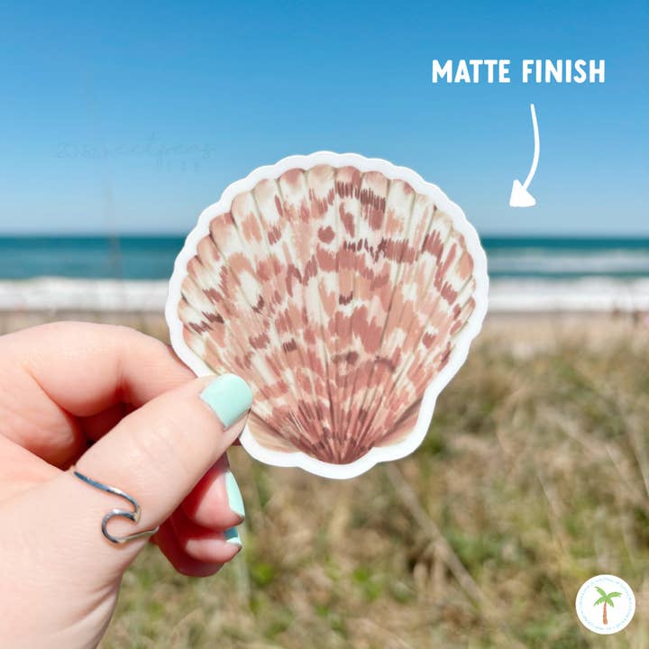 25 Sweetpeas - Wholesale Sticker - Calico Shell Sticker, Beach Sticker, Calico Scallop2