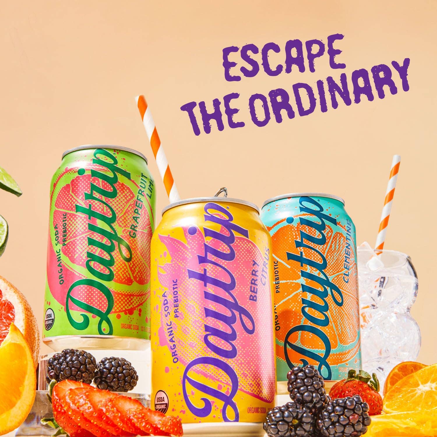 Daytrip - Vendita all'ingrosso Bibite/bevande gassate - Soda prebiotica biologica Daytrip Berry Citrus4