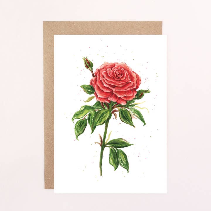Everyday Card, Red English Garden Rose Illustration, Blank for wholesale by Felicity Designs
