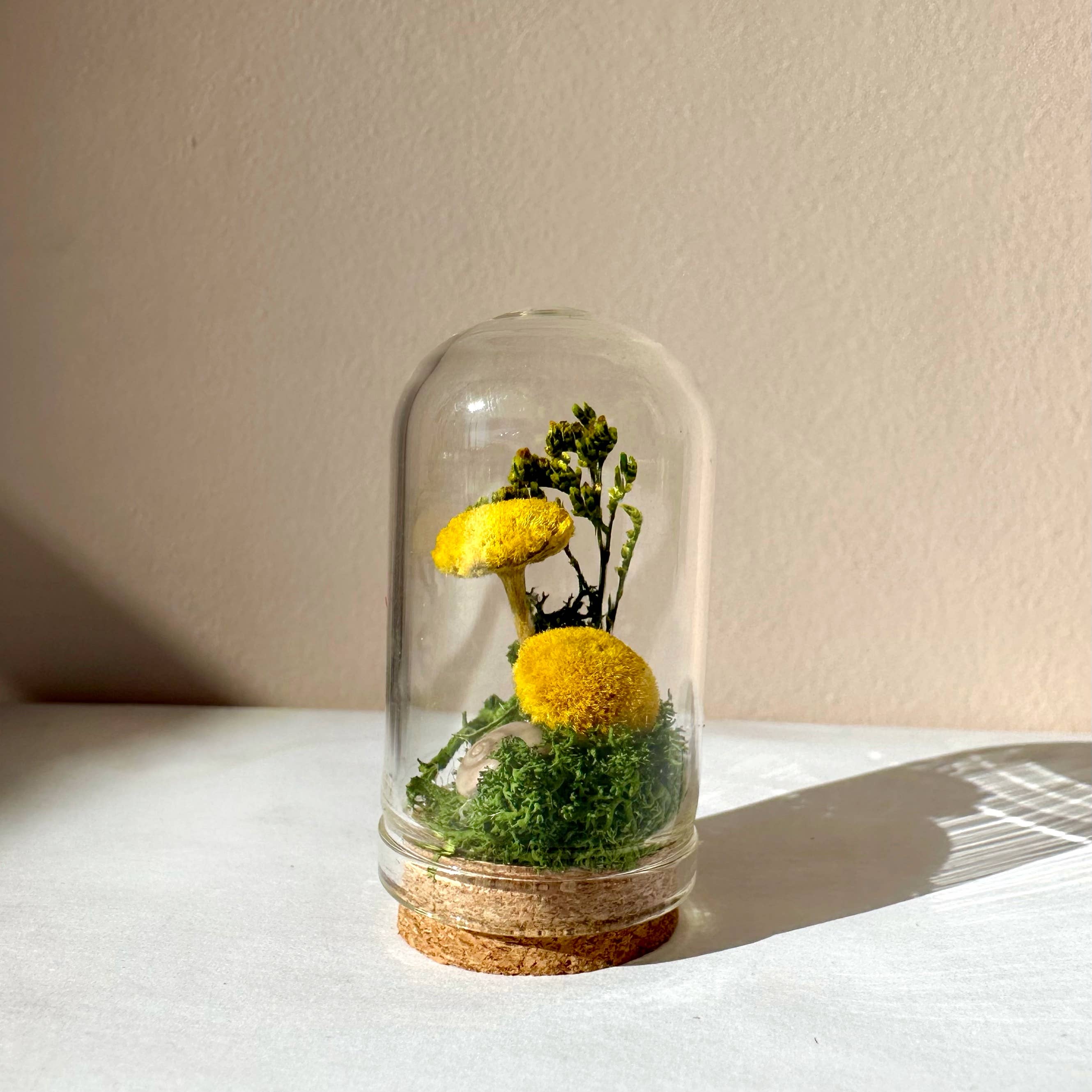 CA Studios - Wholesale Terrarium - Yellow Mushroom Fields Mini Glass Terrarium w. Dried Florals0