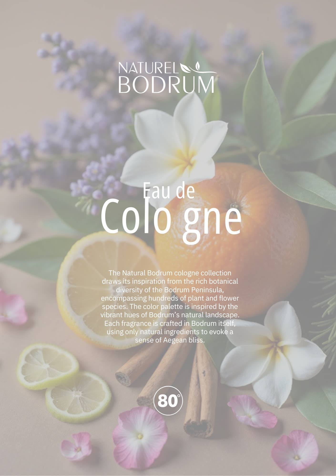 NB NATURAL BODRUM – Colónia em spray por atacado – Colónia Negra Extra Forte 17 Oz Nb Colónia Turca7