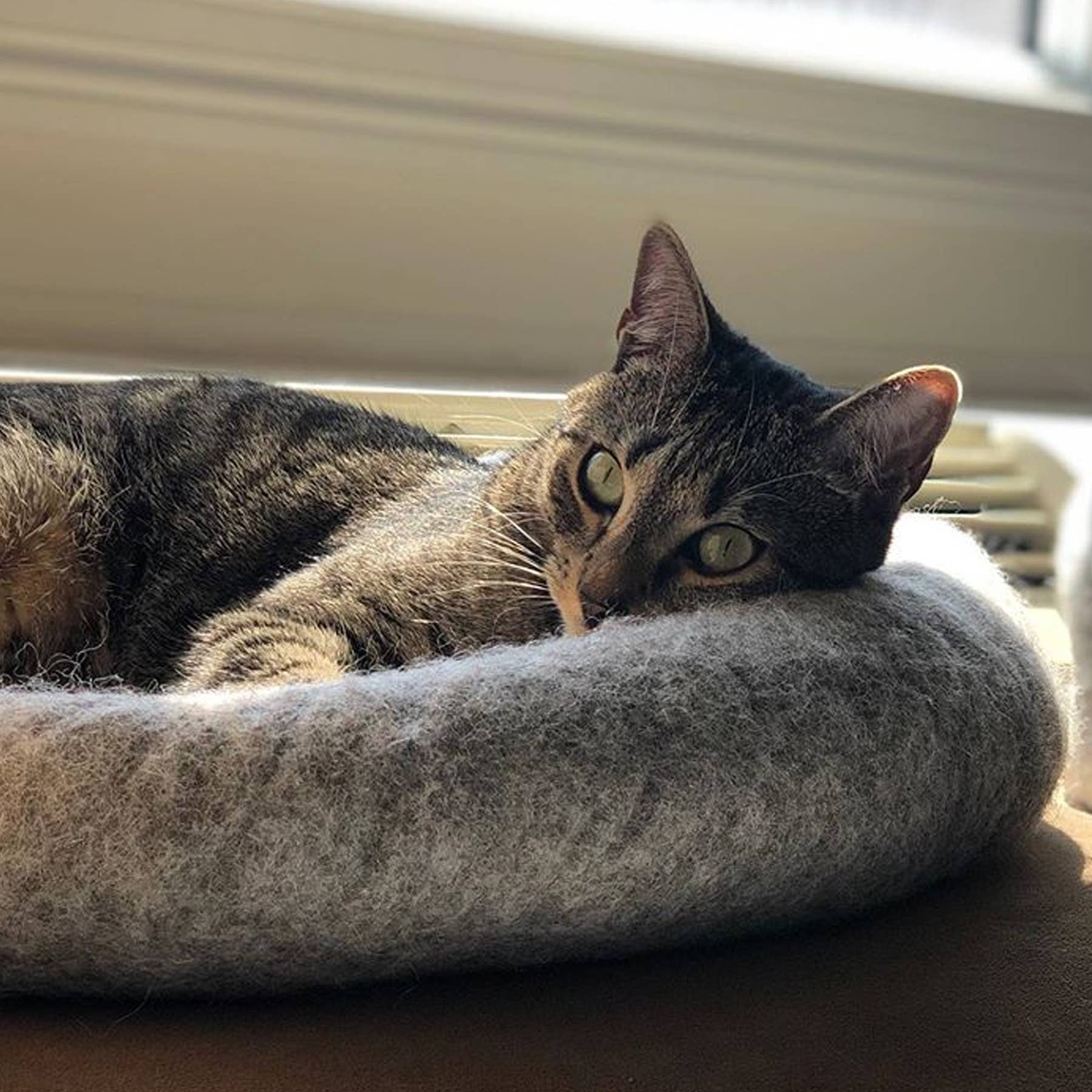 Karma Cat Inc. - Wholesale Pet Cave - Cat/Dog - Ombre Wool Pet Cave, Natural3