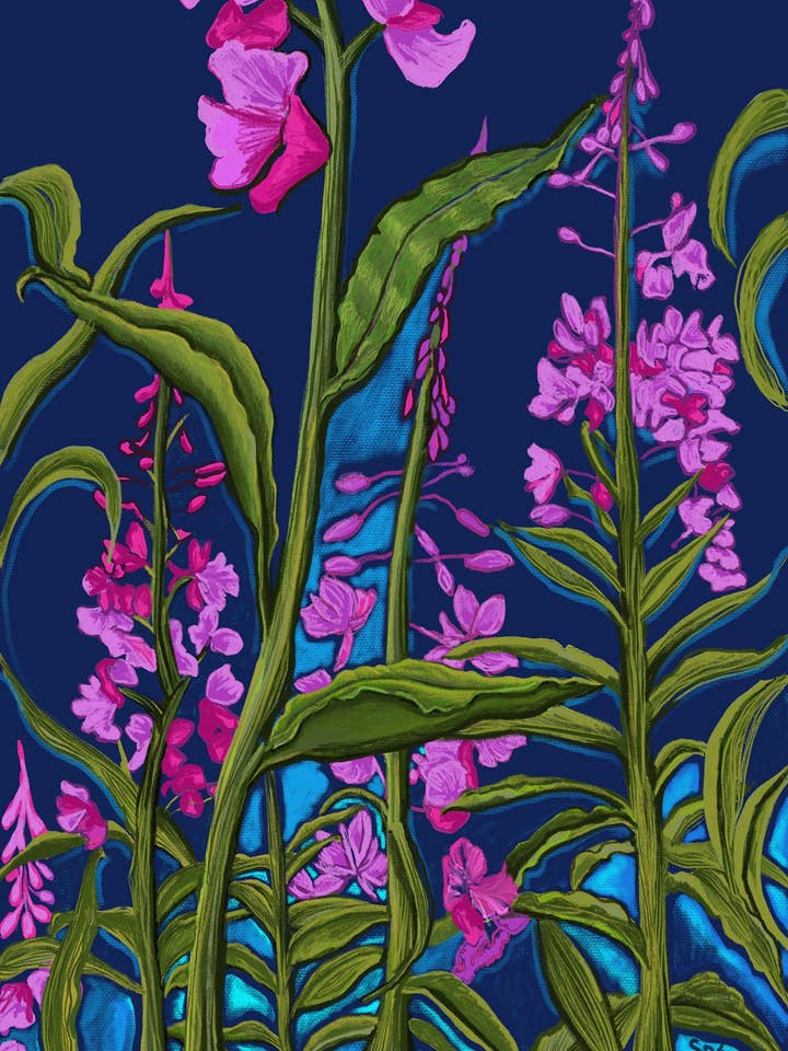 Fireweed Giclee-kunstdruk door kunstenaar Katie Sevigny voor wholesale door Sevigny Studio