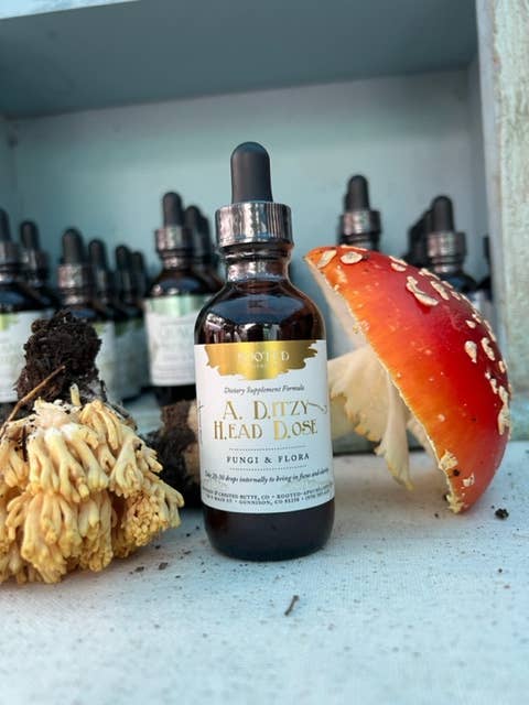 A Ditzy Head Dose Mushroom Tincture for wholesale by Rooted Apothecary