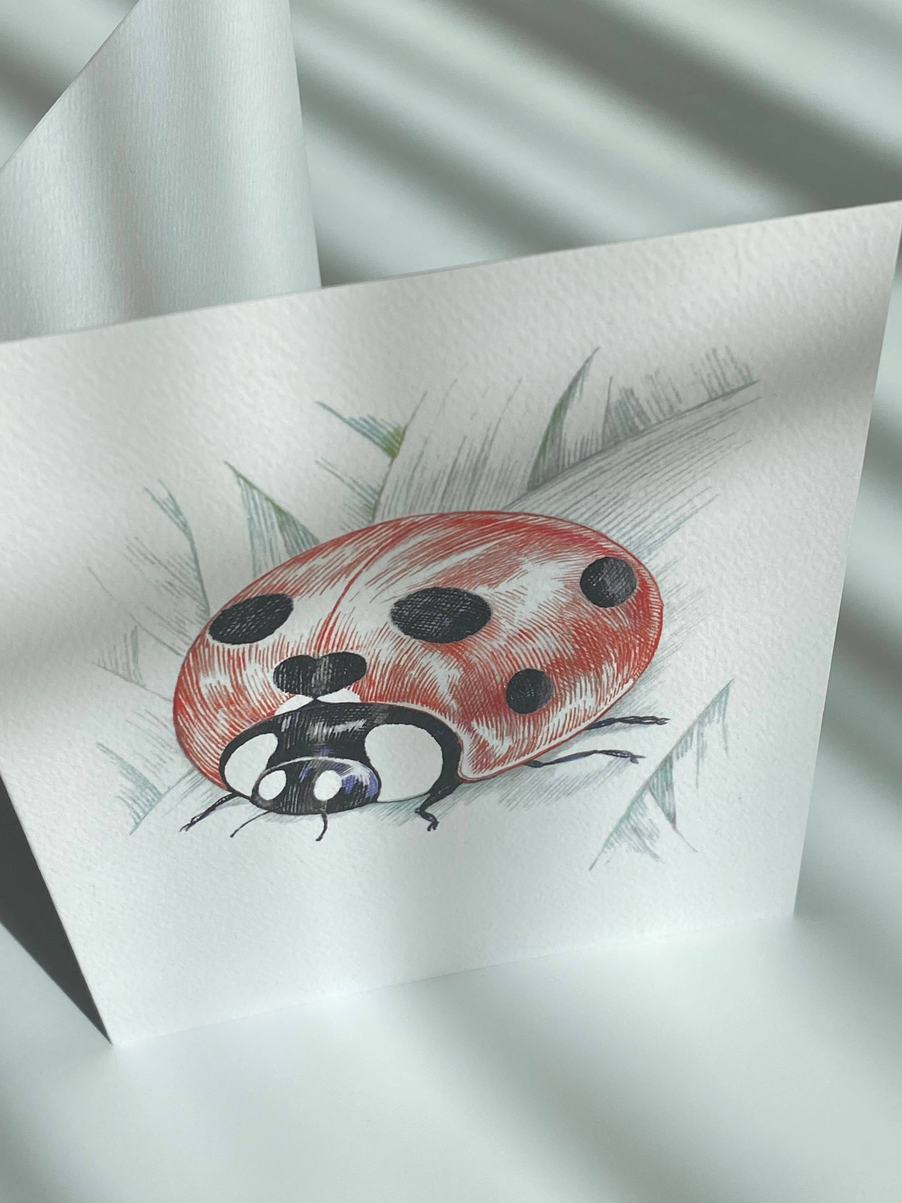REMOVED BRAND - Wholesale Friendship Card - Lady Bug Hearts - Friendship Card2