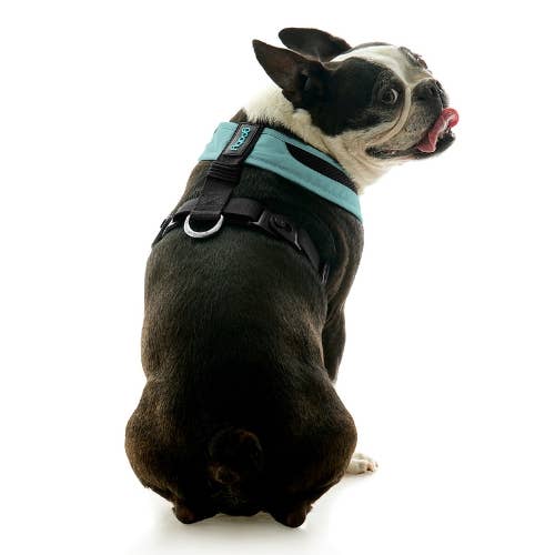 Gooby - Wholesale Pet Harness - Dog - #04231 - Escape Free Comfort X One Harness