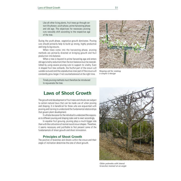 Schiffer Publishing - Venta al por mayor Hogar y jardín - Árboles frutales Espalier para pared, seto y pérgola4