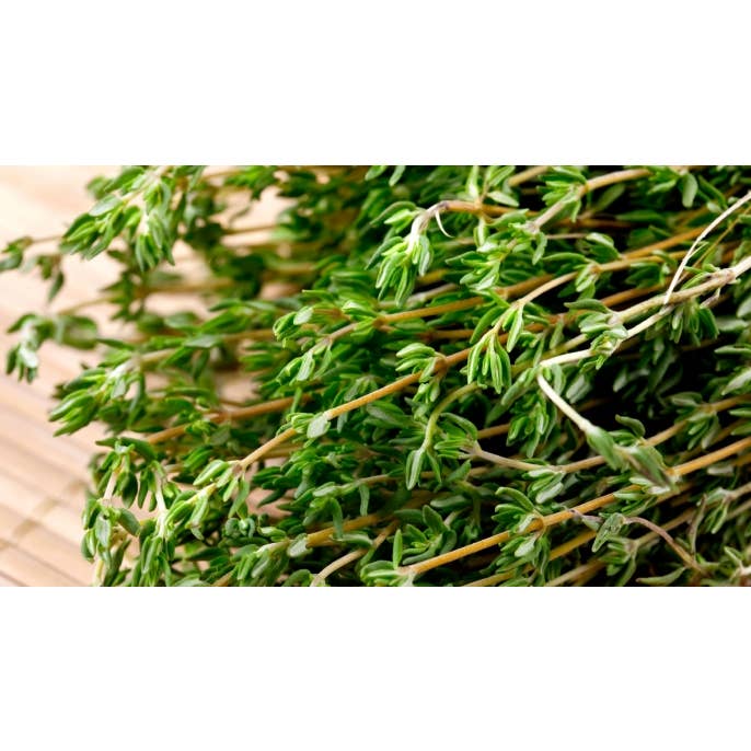 Zia Zensations Inc. - Wholesale Essential oil - Thyme