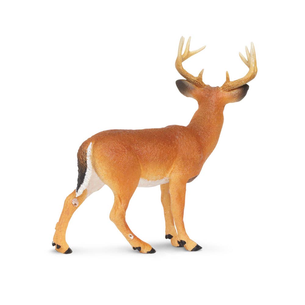 Safari Ltd. - Wholesale Figurine Toy - Kids - Whitetail Buck - 1800292